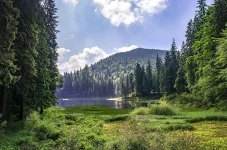 Національний природний парк Синевир.webp