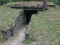 Спадщанський ліс.webp