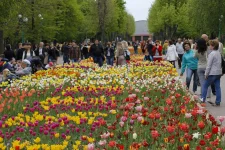 Дендропарк.webp