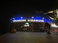 Харьковский дельфинарий2.webp