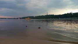 1752016294108.webp