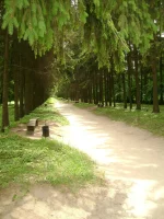 Краснокутский дендропарк2.webp